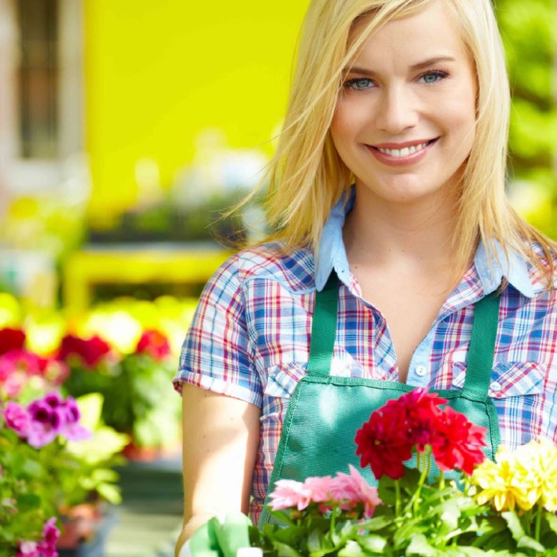 Structuurrapport Tuincentra 2024