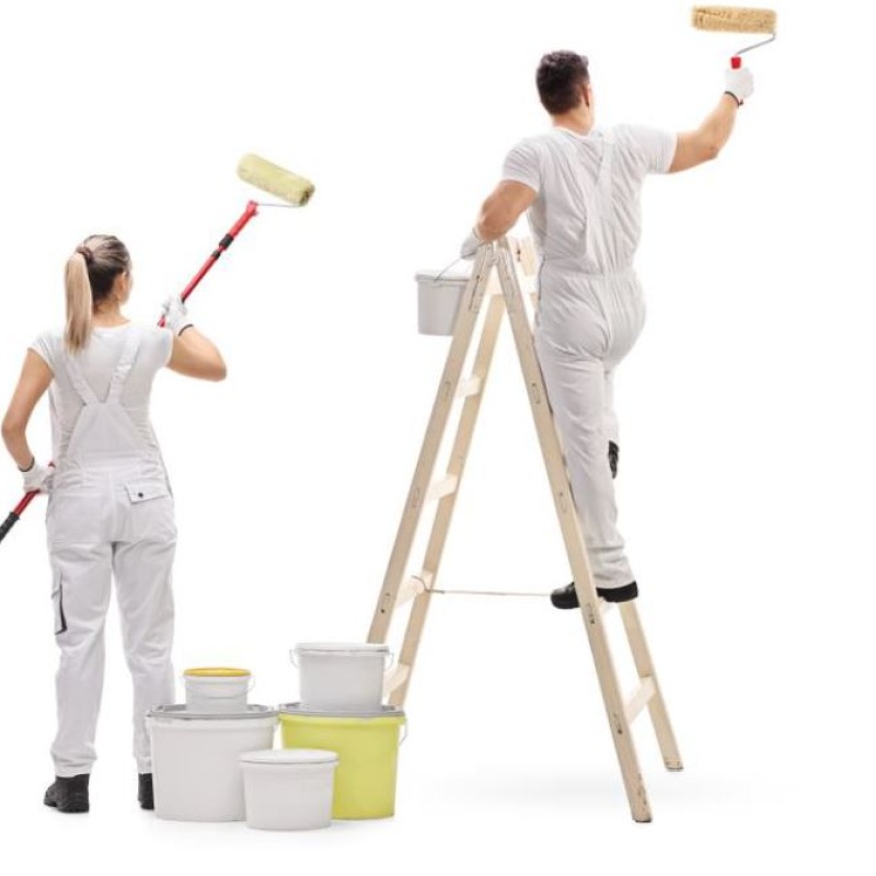 Structuurrapport Schilders en glaszetters 2024